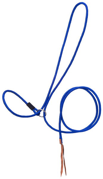 Royal Blue Rope Halter