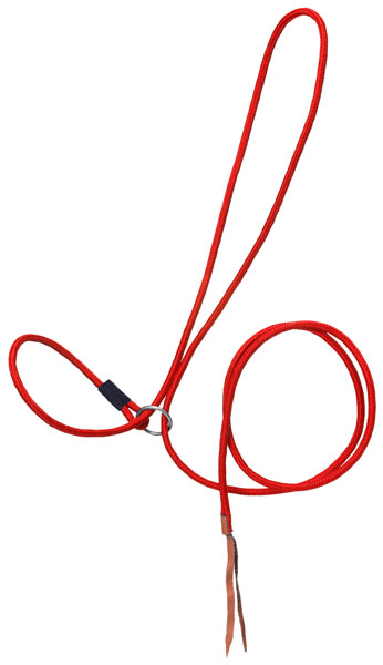 Red Rope Halter