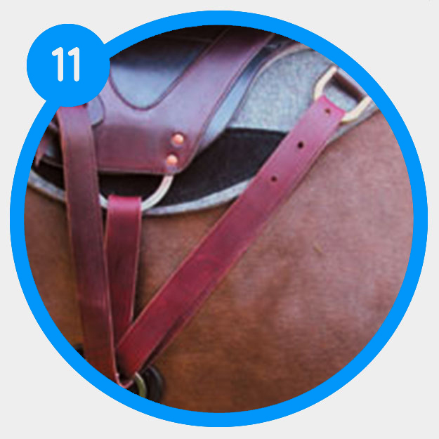 How to determine the rigging of your saddle