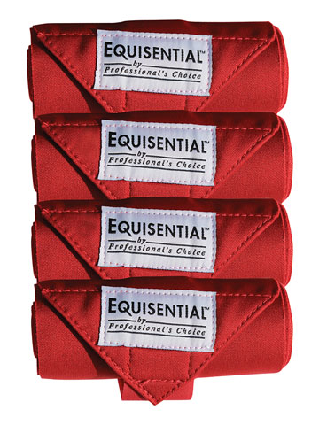 Crimson Red Equisential Standing Bandages