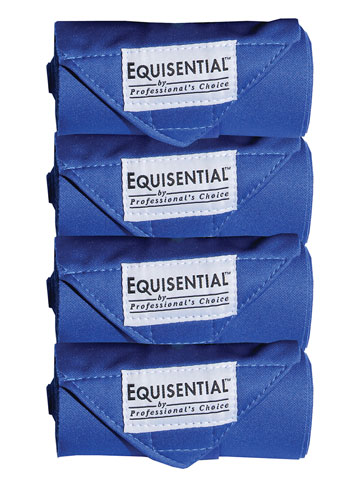 Royal Blue Equisential Standing Bandages